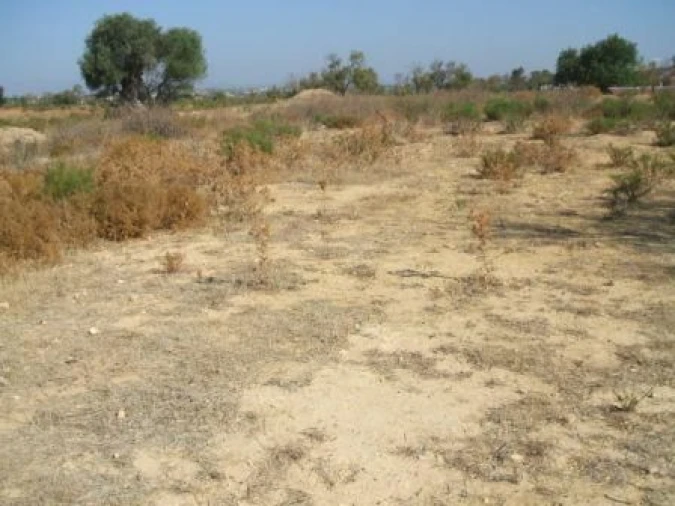 Terreno para Venda em Guia Foto 3