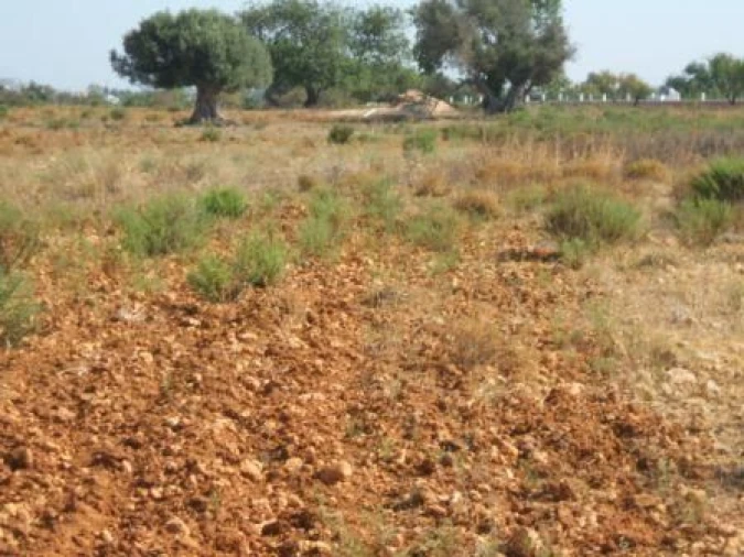 Terreno para Venda em Guia Foto 7