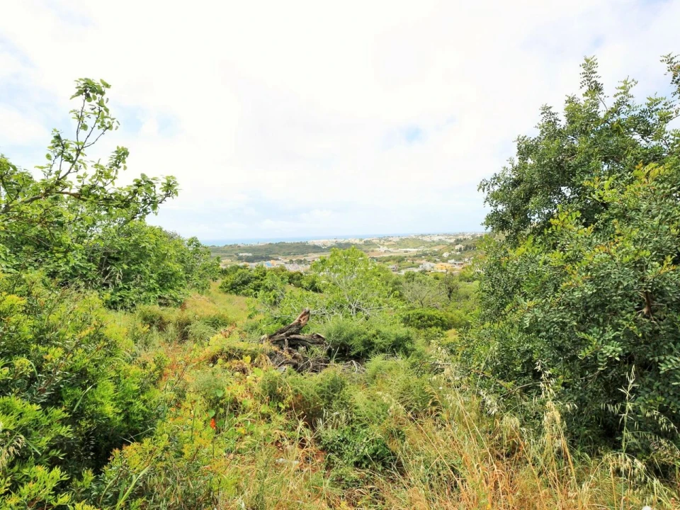 Terreno para Venda em Albufeira e Olhos de Água Foto 2