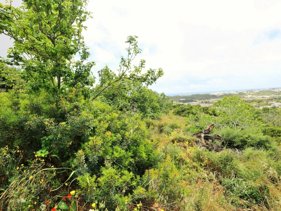 Terreno para Venda em Albufeira e Olhos de Água Foto 3