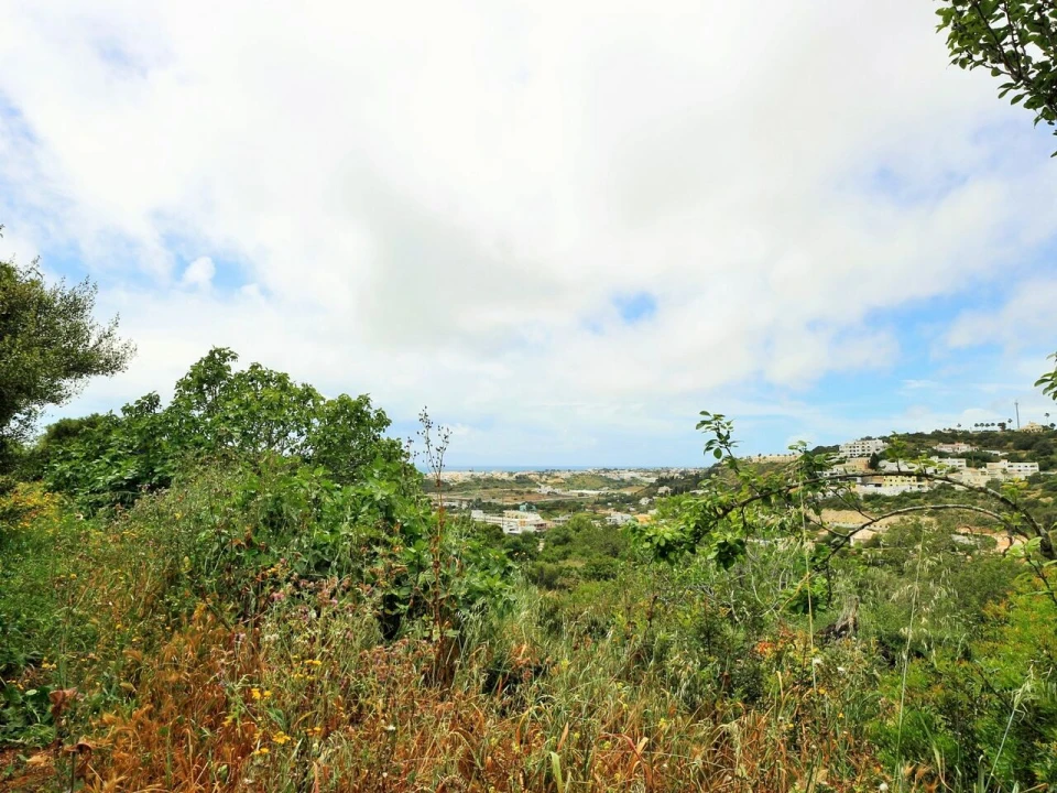 Terreno para Venda em Albufeira e Olhos de Água Foto 4