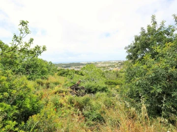 Terreno para Venda em Albufeira e Olhos de Água