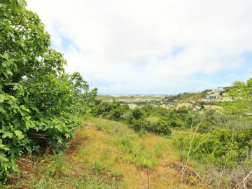Terreno para Venda em Albufeira e Olhos de Água