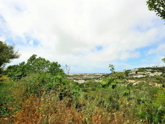Terreno para Venda em Albufeira e Olhos de Água Foto 4