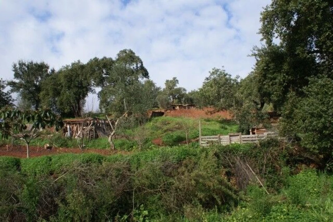 Terreno para Venda em São Bartolomeu de Messines Foto 2