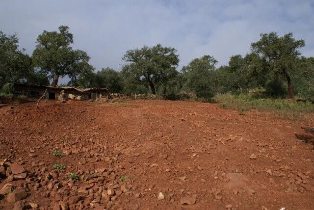 Terreno para Venda em São Bartolomeu de Messines Foto 6