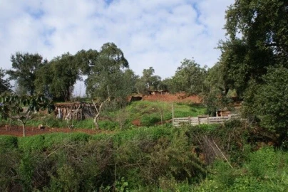 Terreno para Venda em São Bartolomeu de Messines