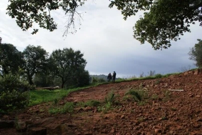 Terreno para Venda em São Bartolomeu de Messines