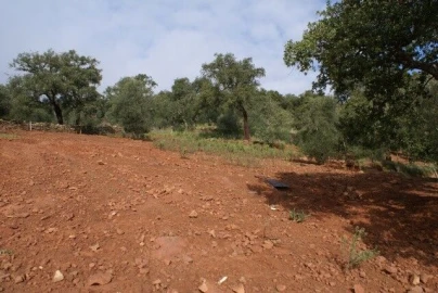 Terreno para Venda em São Bartolomeu de Messines