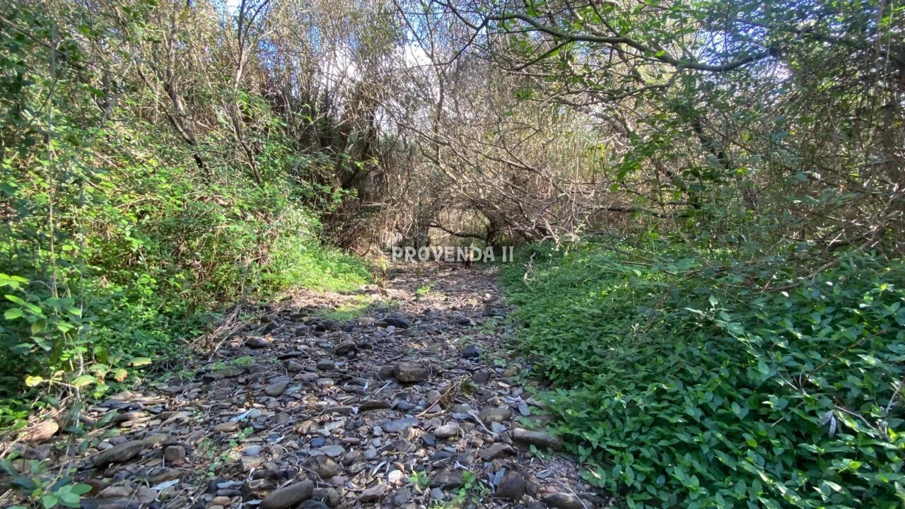 Quinta T0 para Venda em Aljezur Foto 6