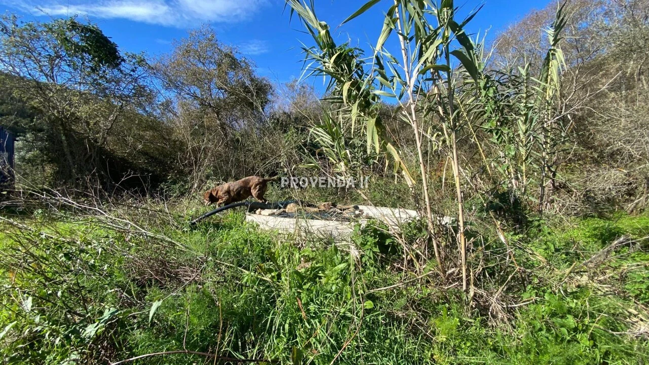 Quinta T0 para Venda em Aljezur Foto 8