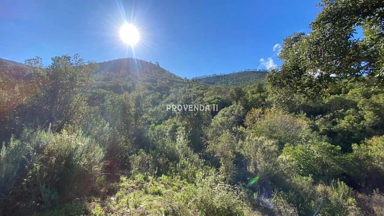 Quinta T0 para Venda em Aljezur Foto 1