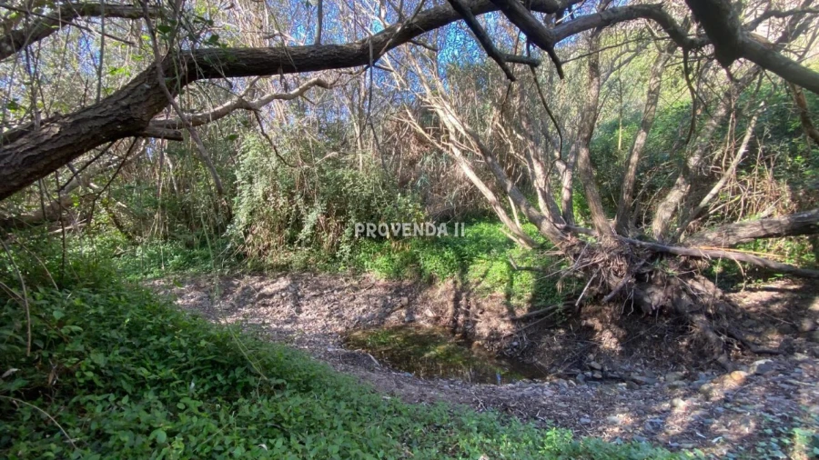 Quinta T0 para Venda em Aljezur Foto 5