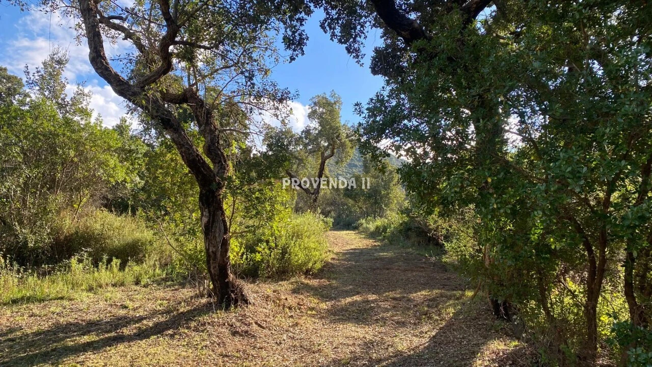 Quinta T0 para Venda em Aljezur Foto 3