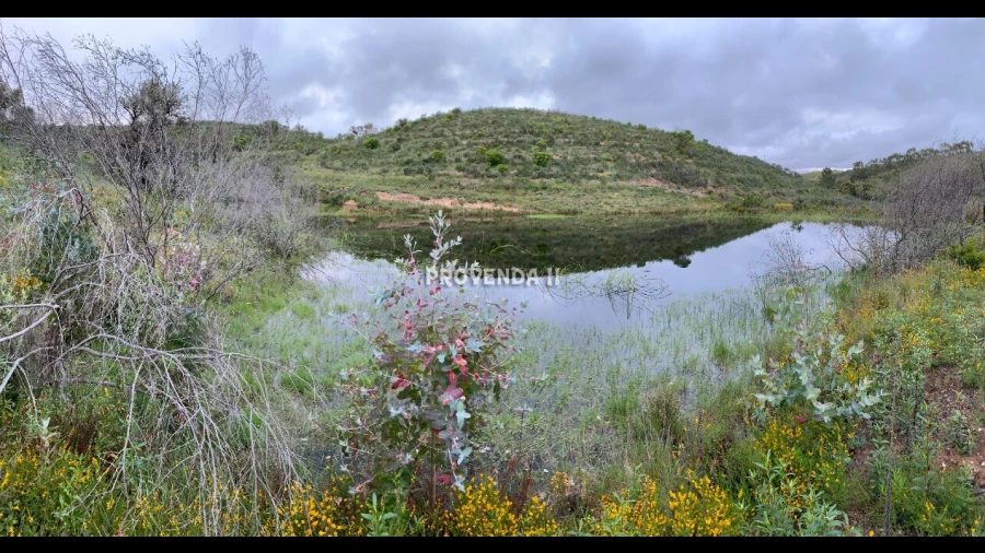 Quinta T0 para Venda em Bordeira