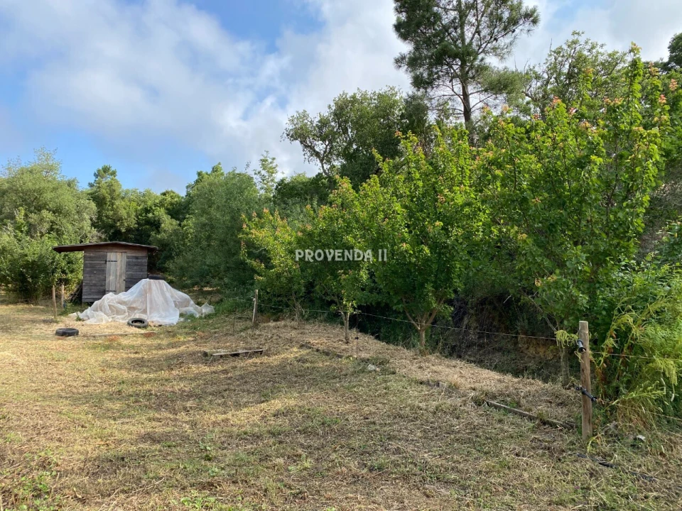 Quinta T0 para Venda em Bordeira Foto 6