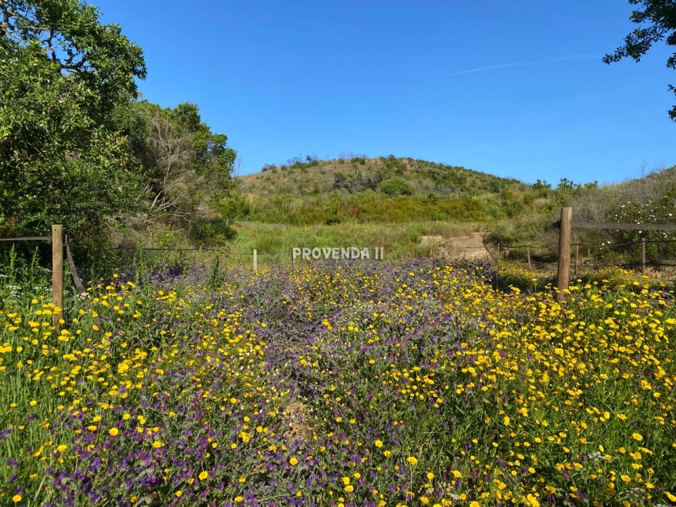 Quinta T0 para Venda em Bordeira Foto 2
