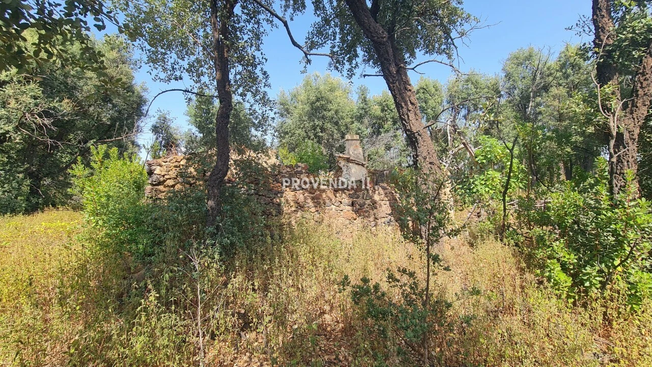 Quinta T0 para Venda em São Teotónio Foto 3