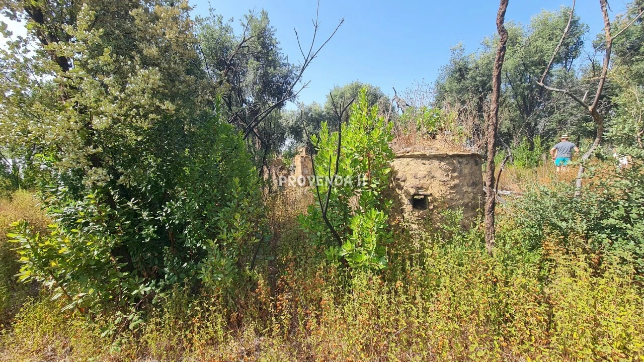 Quinta T0 para Venda em São Teotónio Foto 4