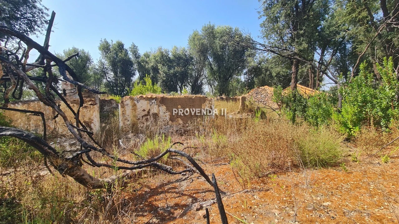 Quinta T0 para Venda em São Teotónio Foto 2