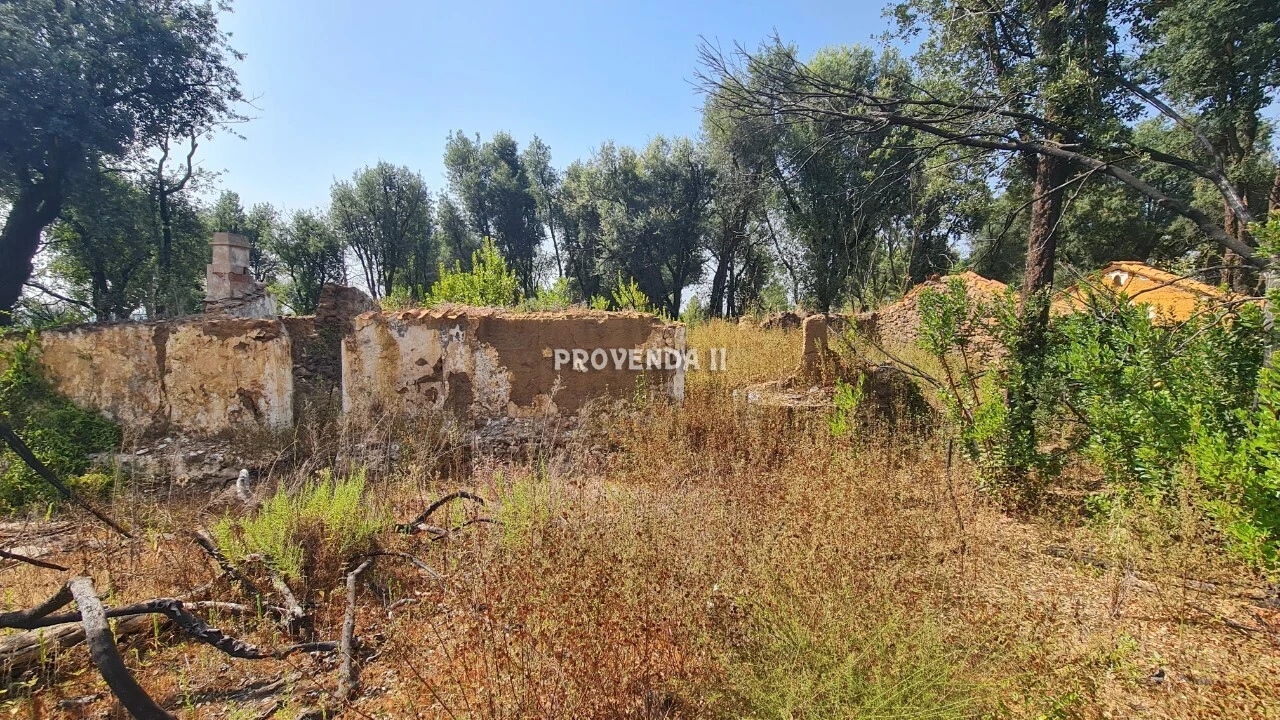 Quinta T0 para Venda em São Teotónio Foto 5