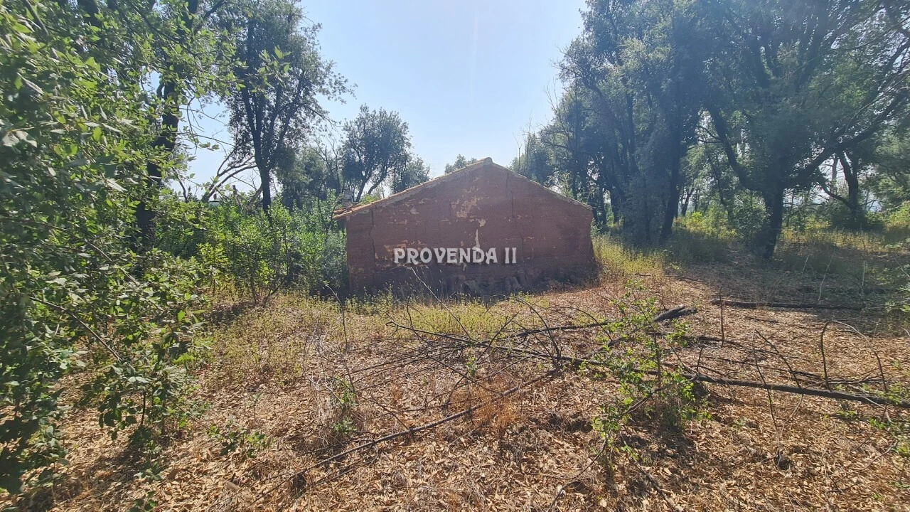 Quinta T0 para Venda em São Teotónio Foto 1