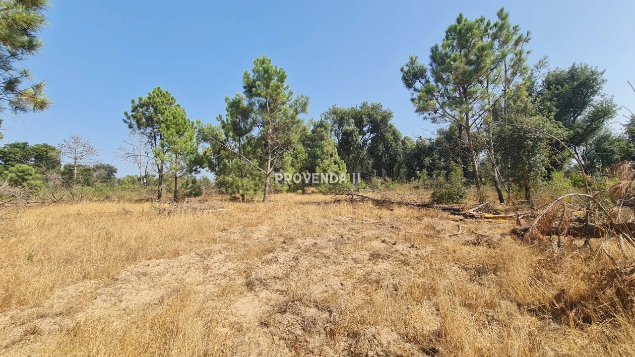 Quinta T0 para Venda em São Teotónio Foto 11