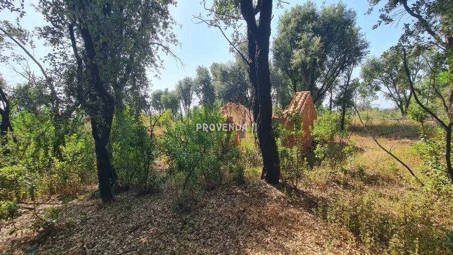 Quinta T0 para Venda em São Teotónio Foto 6