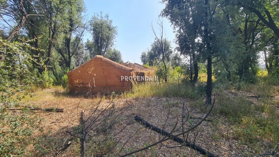 Quinta T0 para Venda em São Teotónio Foto 7