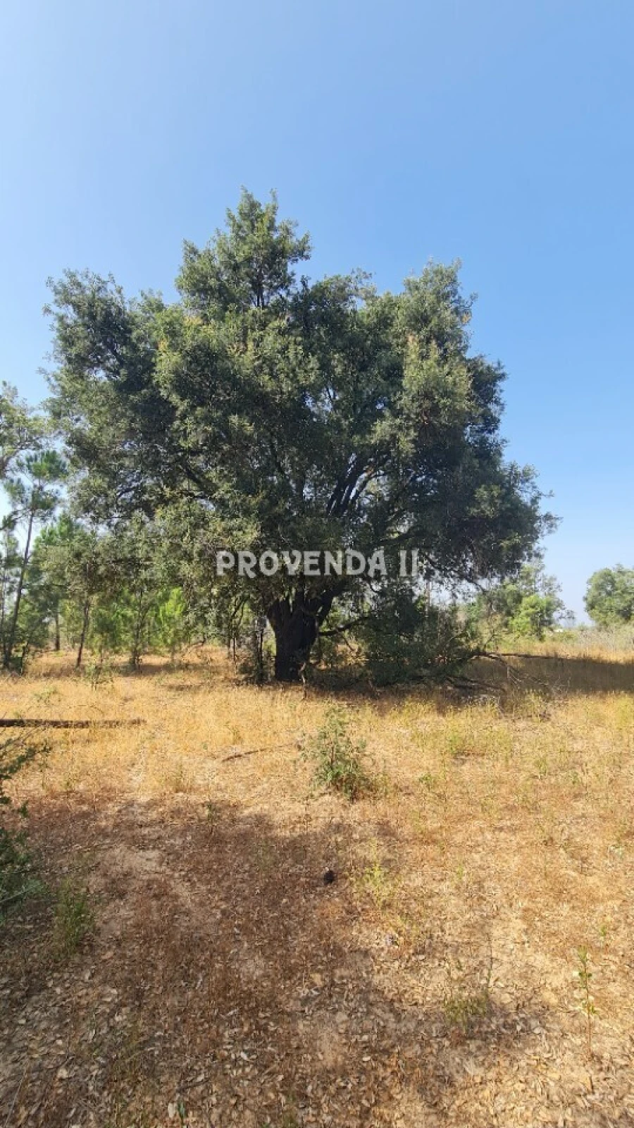 Quinta T0 para Venda em São Teotónio Foto 9