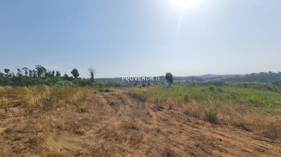 Quinta T0 para Venda em São Teotónio Foto 13