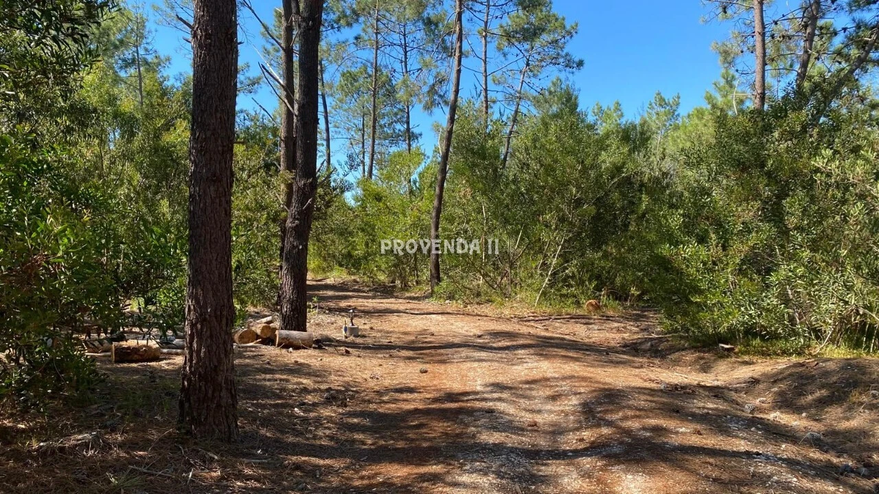 Quinta T2 para Venda em Rogil Foto 7