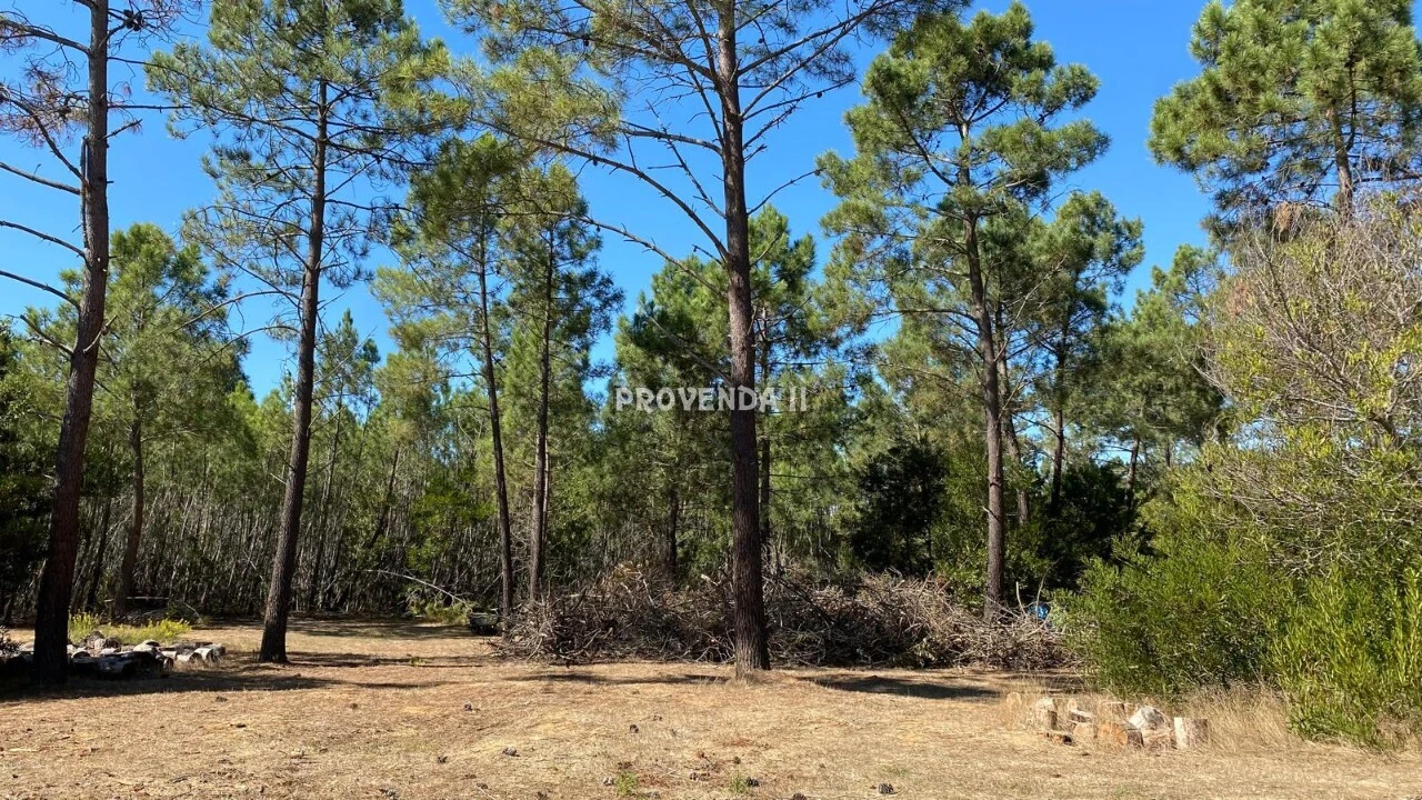 Quinta T2 para Venda em Rogil Foto 3