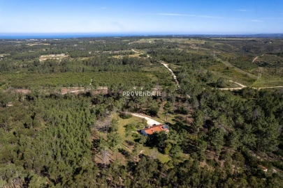 Quinta T2 para Venda em Rogil