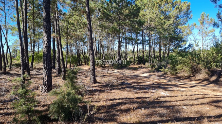 Quinta T0 para Venda em Aljezur Foto 8