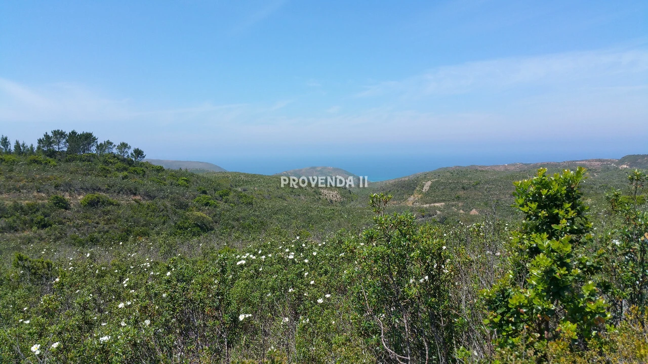 Quinta T0 para Venda em Bordeira Foto 8