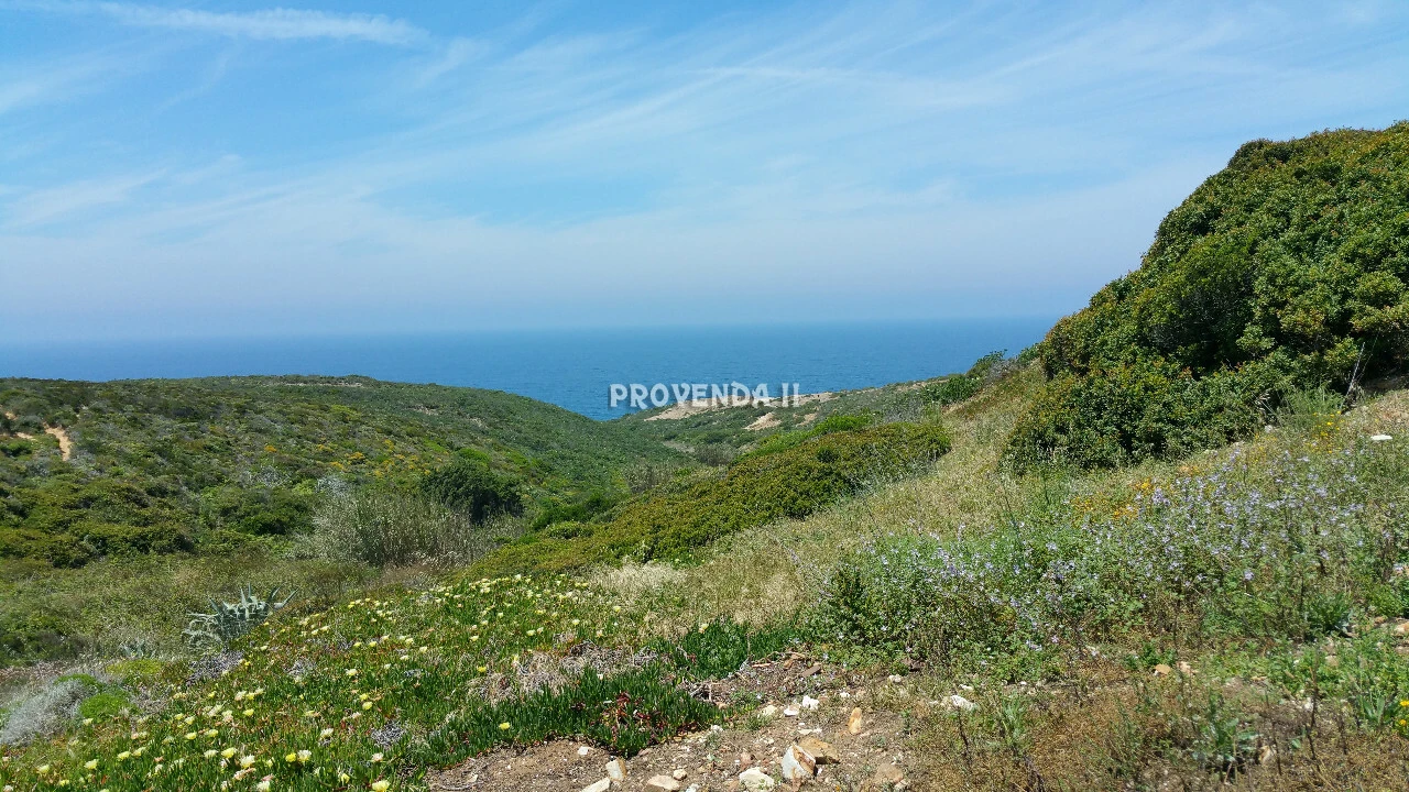 Quinta T0 para Venda em Bordeira Foto 10