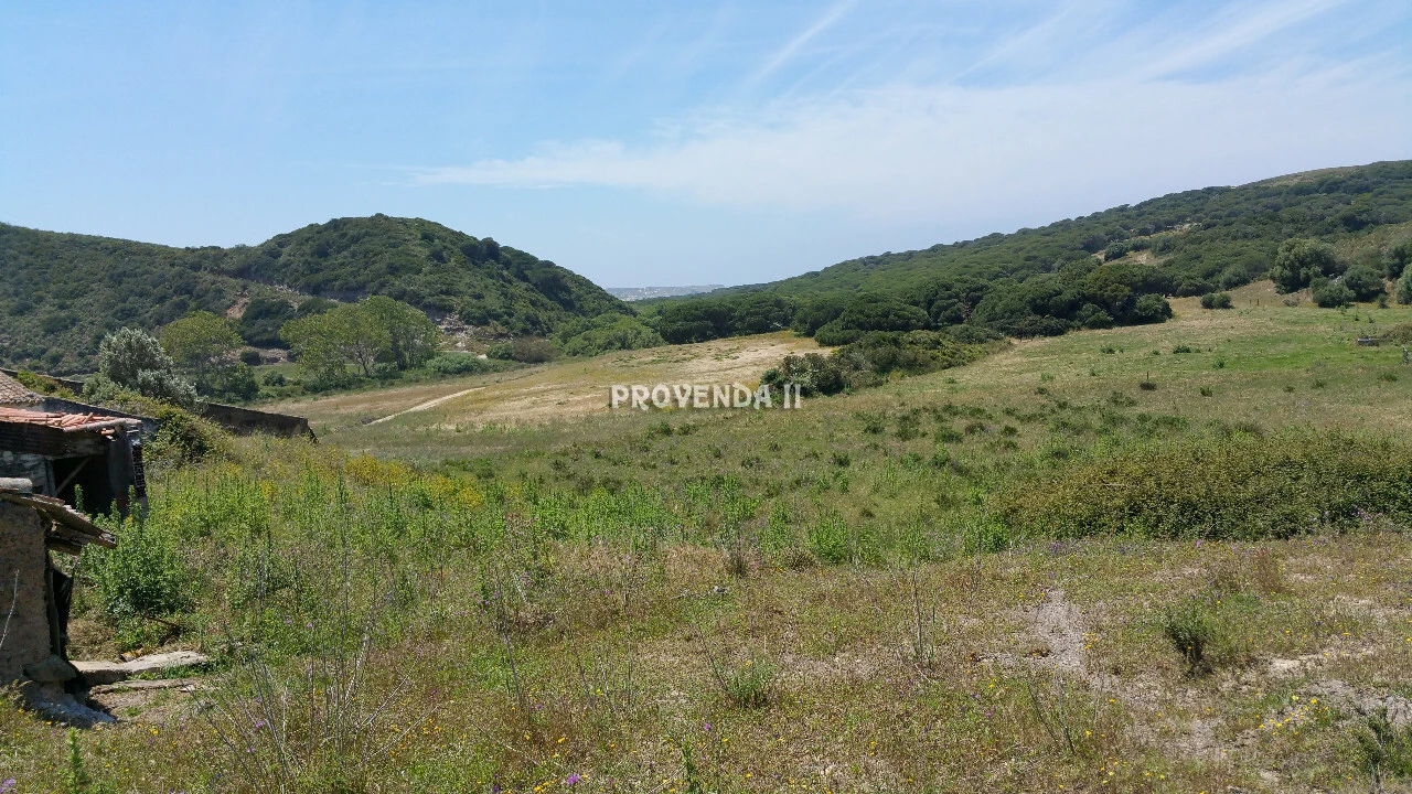 Quinta T0 para Venda em Bordeira Foto 20