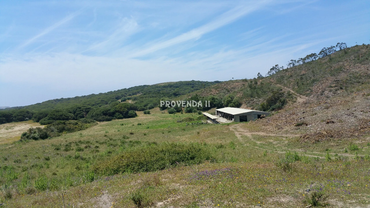 Quinta T0 para Venda em Bordeira Foto 21