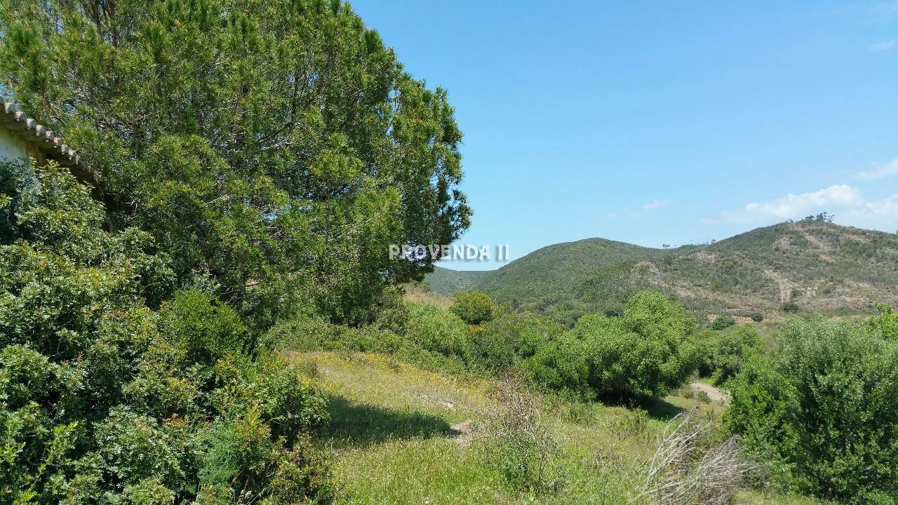 Quinta T0 para Venda em Bordeira Foto 24