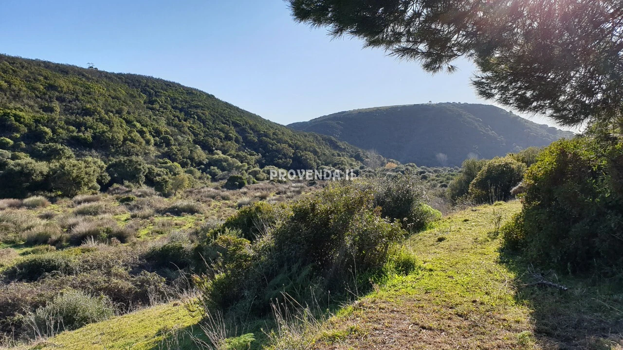 Quinta T0 para Venda em Bordeira Foto 29