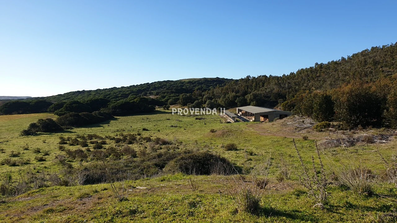 Quinta T0 para Venda em Bordeira Foto 31