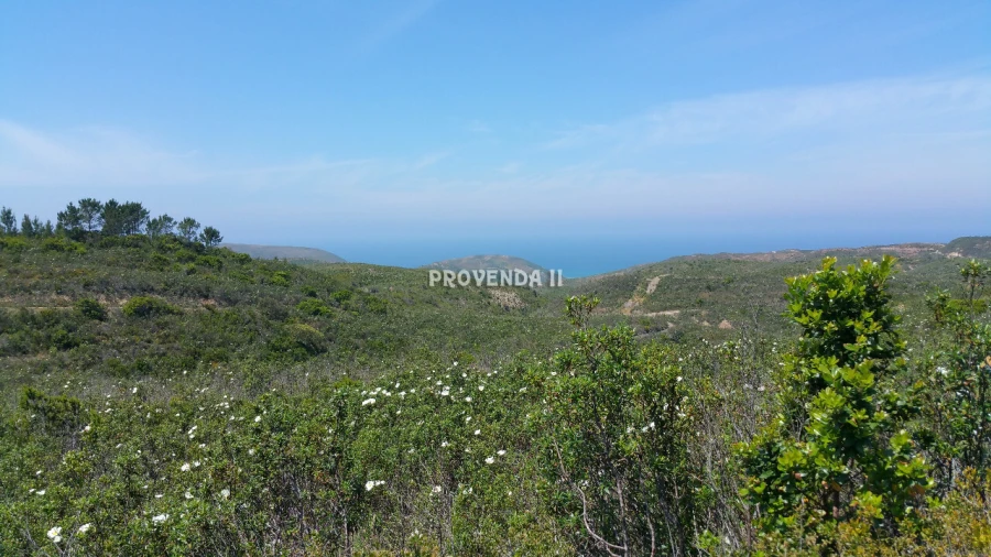 Quinta T0 para Venda em Bordeira Foto 8