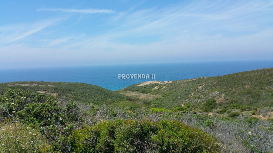 Quinta T0 para Venda em Bordeira Foto 3