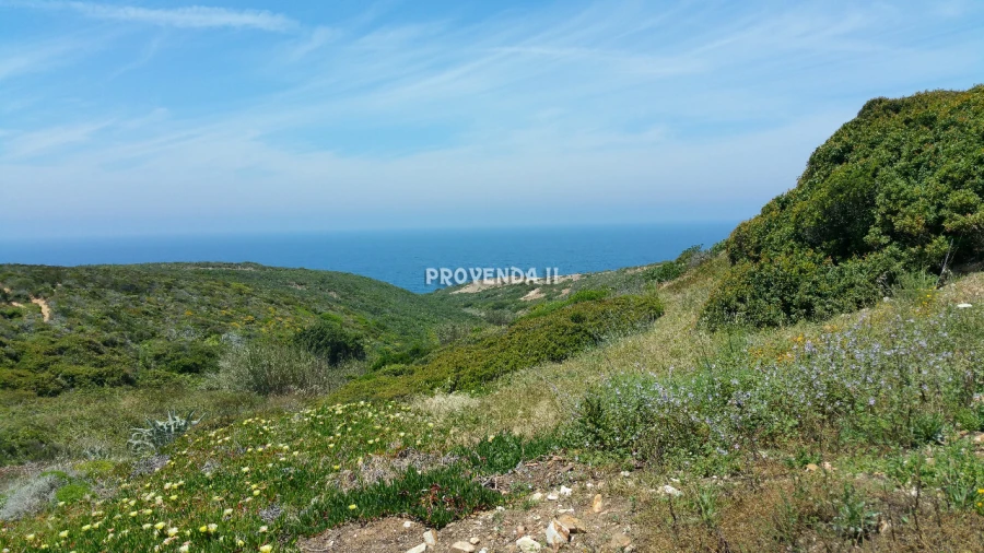 Quinta T0 para Venda em Bordeira Foto 10