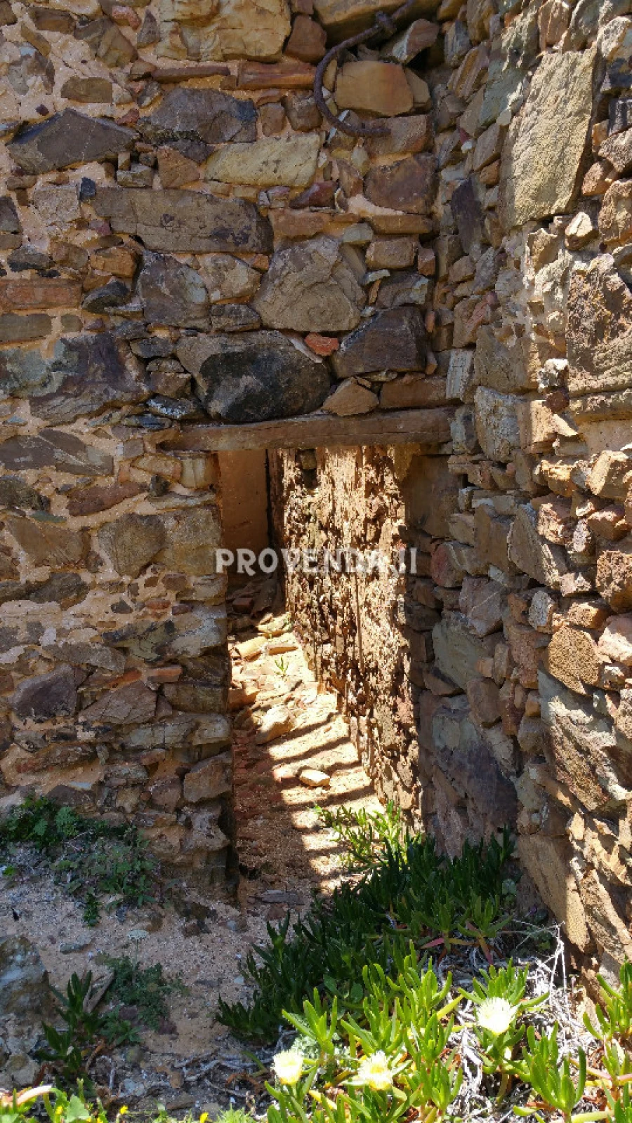 Quinta T0 para Venda em Bordeira Foto 13