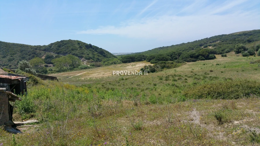 Quinta T0 para Venda em Bordeira Foto 20