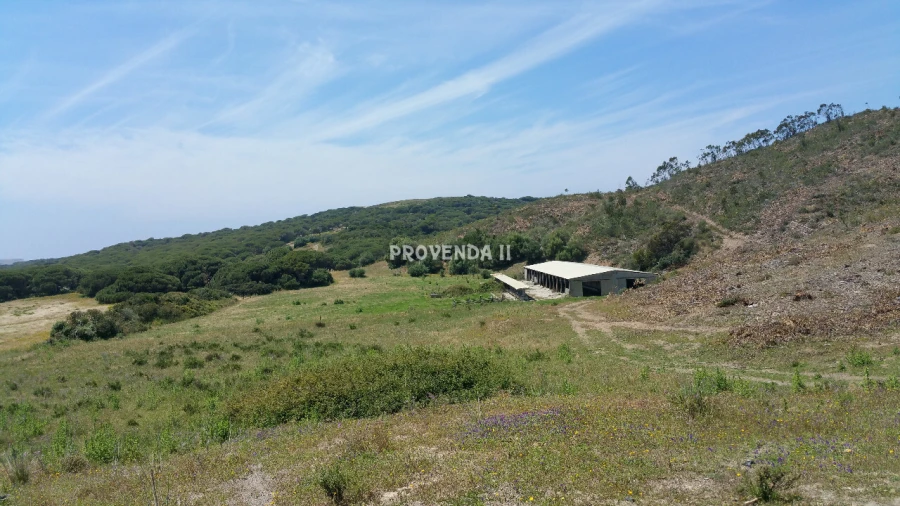 Quinta T0 para Venda em Bordeira Foto 21