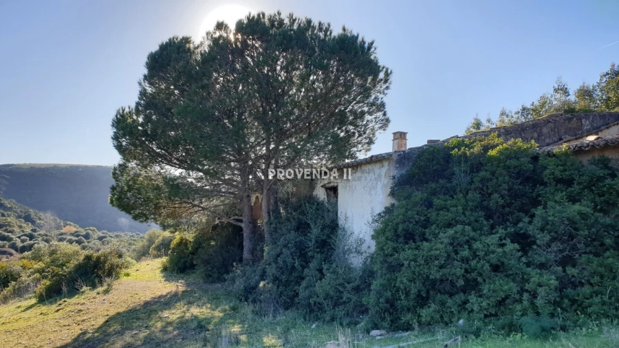 Quinta T0 para Venda em Bordeira Foto 27