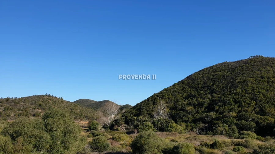 Quinta T0 para Venda em Bordeira Foto 28